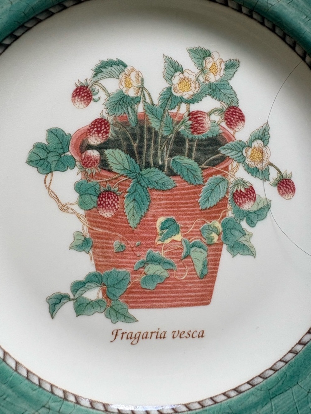 Wedgwood (3) Sarah’s Garden- 1997 Floral Accent salad Plates - Made in England - Picture 6 of 16